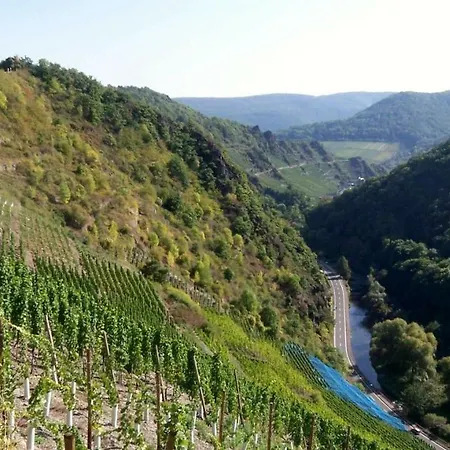 Appartement Ferienunterkunft Boerner Ehlscheid