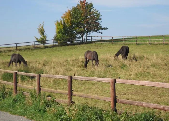 Ferienunterkunft Boerner *